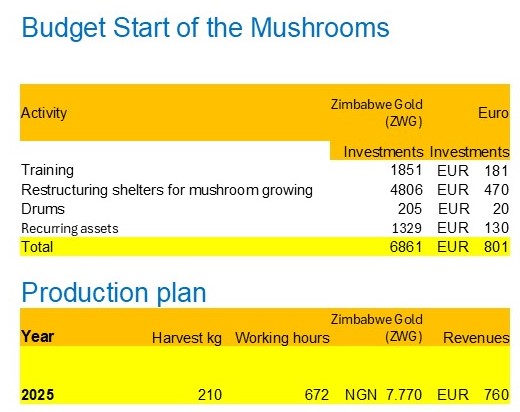 2. INVESTMENTS & PRODUCTION (Feb. 2025)